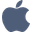 Google Icon